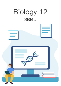 https://nord-api.nordeducation.com/beapi/tool/upload/imageShow?fileName=headImage620624aa0dc9c634546cf1fbb14c2a8abc986dba3da6eb04ee7e7d3a1b17a85447894c49e6127.jpg